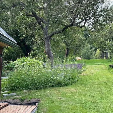 Tajnyhauz Beehauz Terapia Na Včelách