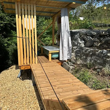 Tajnyhauz Beehauz Terapia Na Včelách * Trnie